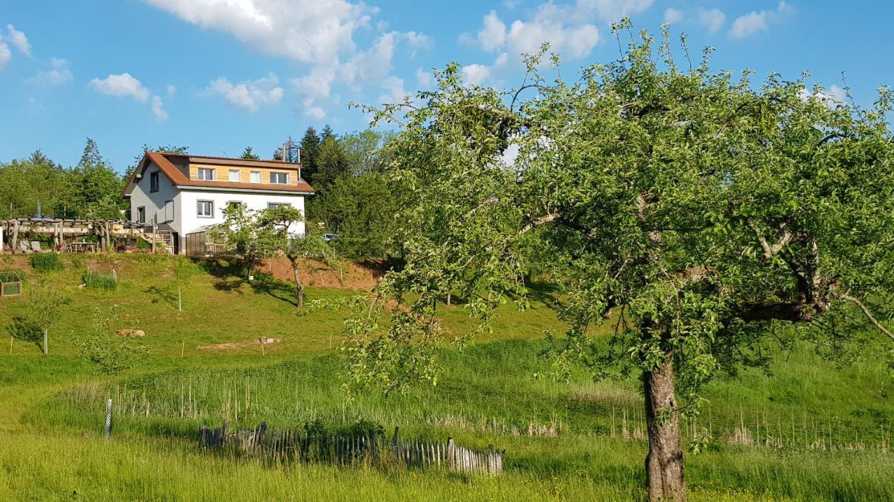 Coeur Vert Oekologisch Mit Viel Ambiente Fuer Seelen-Wellness Ronchamp Exterior foto