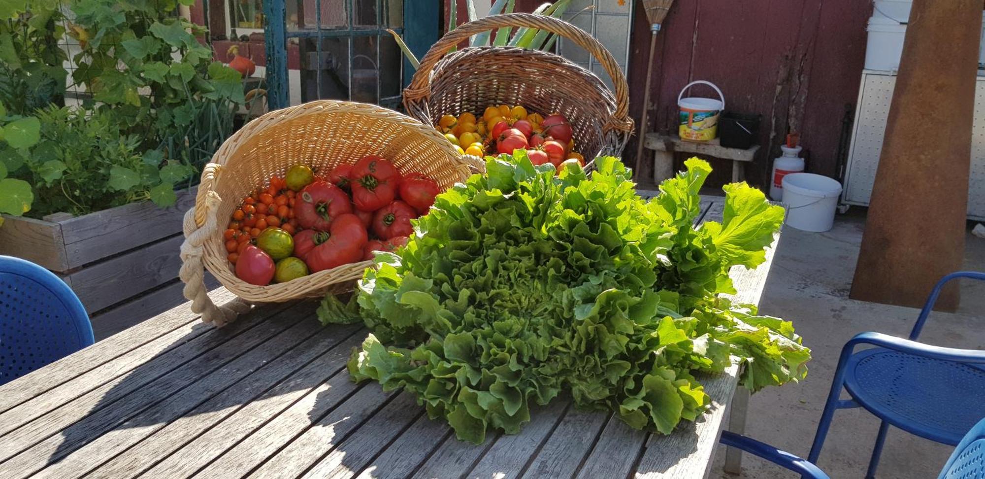 Coeur Vert Oekologisch Mit Viel Ambiente Fuer Seelen-Wellness Ronchamp Quarto foto